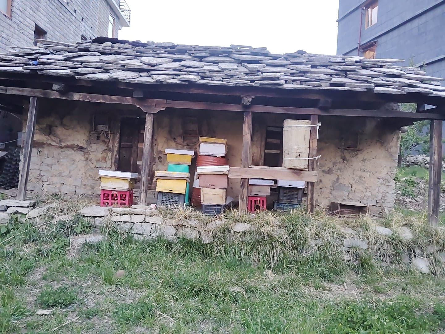 Bee Hive